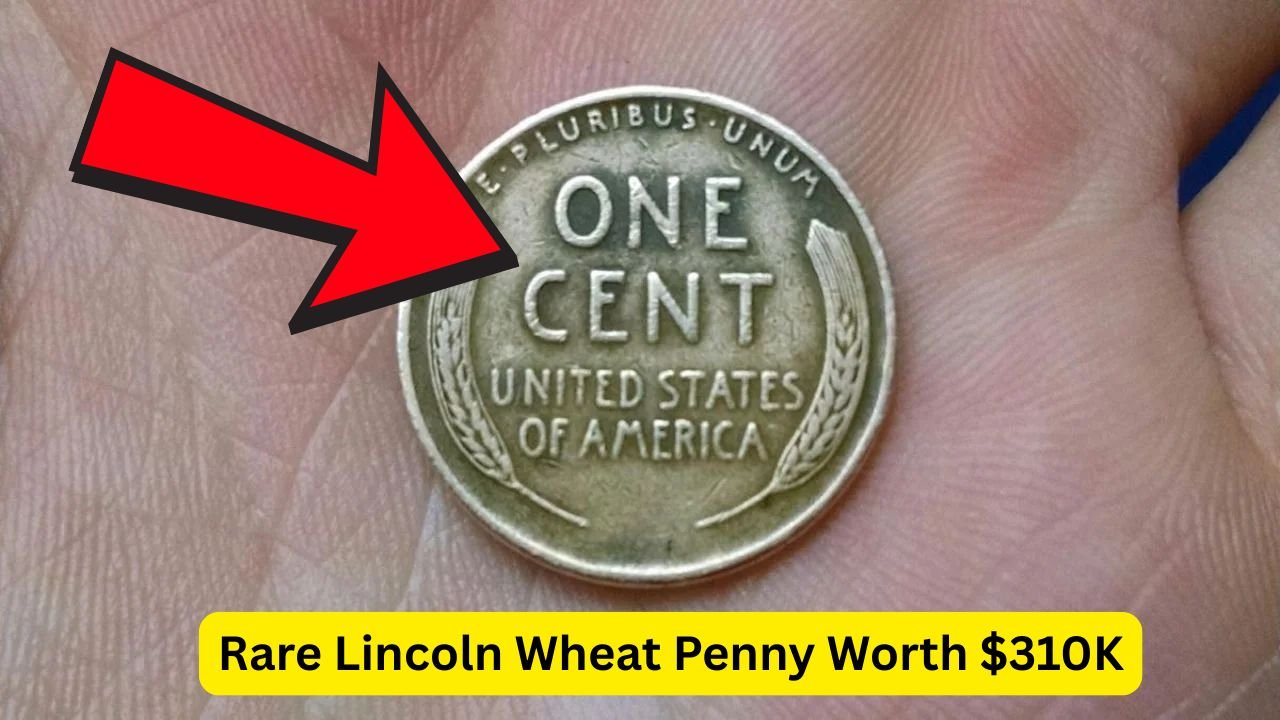 Rare Lincoln Wheat Penny Worth $310K Could Be in Your Pocket